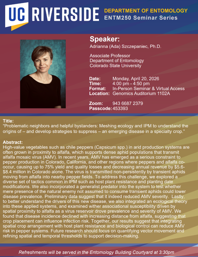 Ada Szczepaniec Flyer