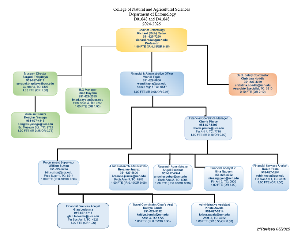 Admin Org Chart 2024-2025