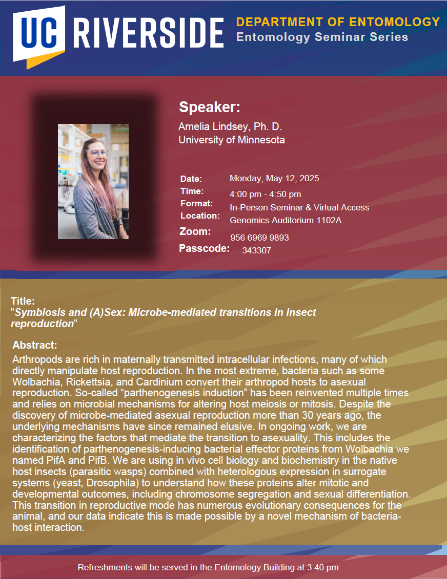 Amelia Lindsey Seminar Flyer