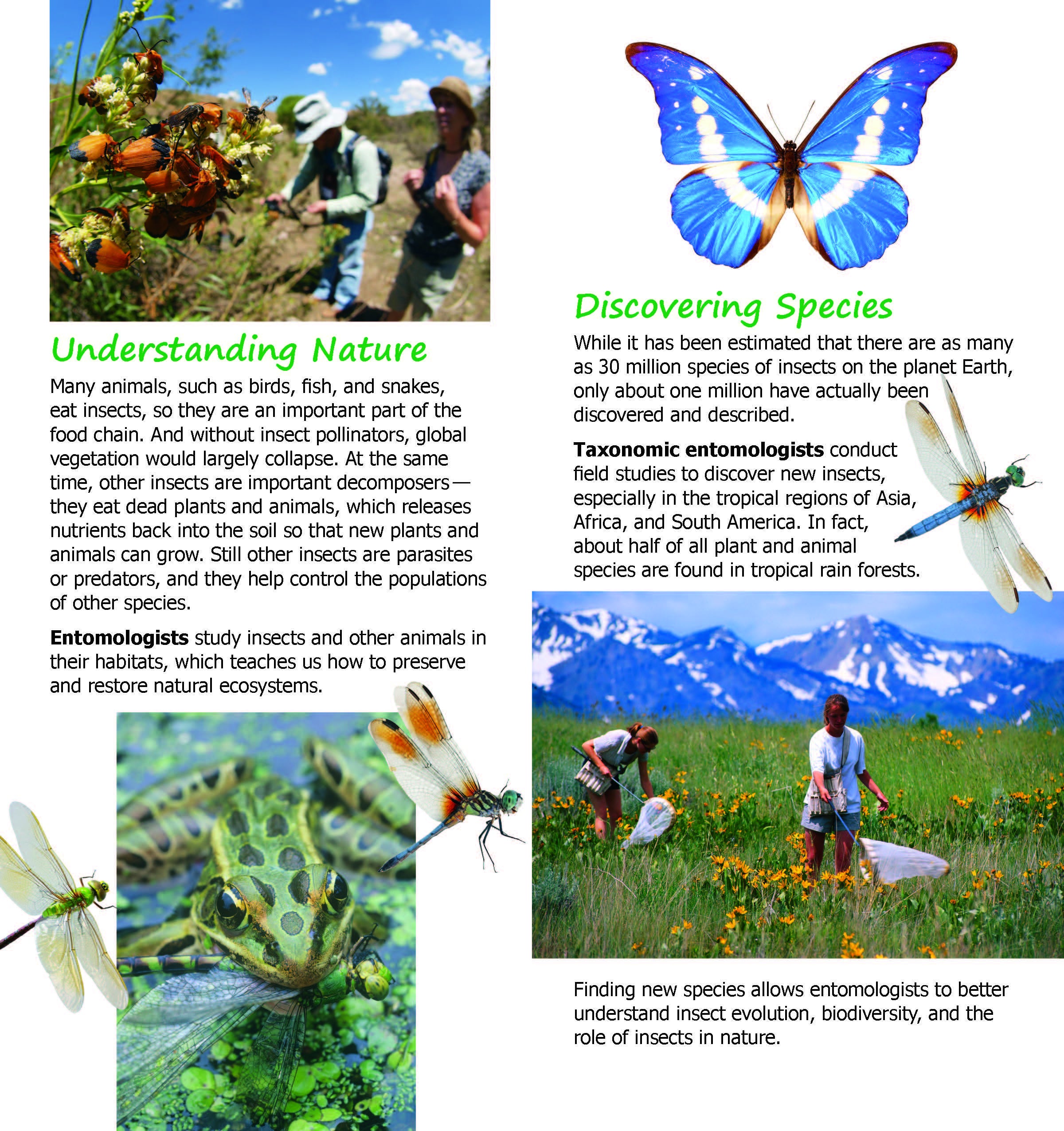 Discover Entomology ESA