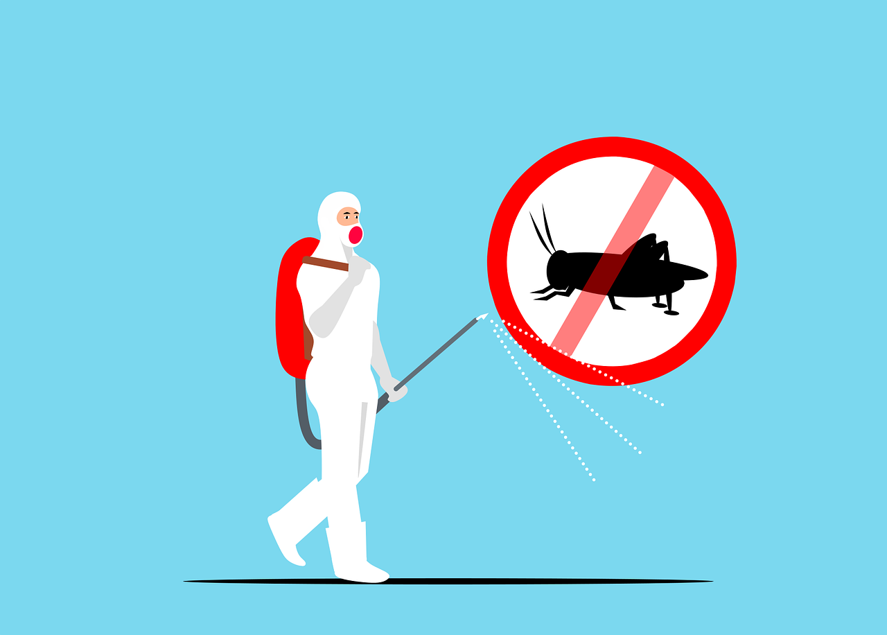 403 forbidden 