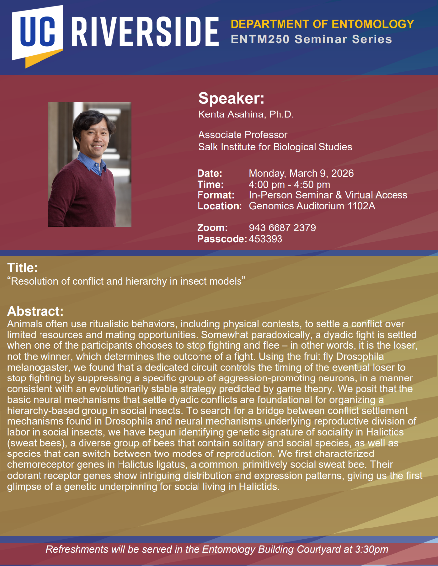 Kenta Asahina Flyer Updated