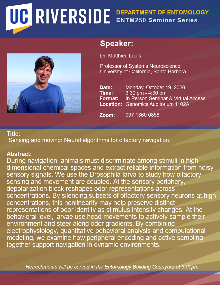 Matthieu Louis Flyer