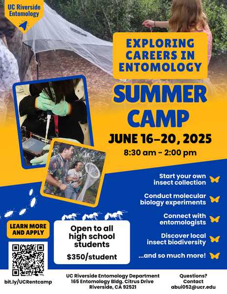 Summer camp flier