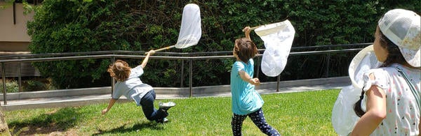 Junior Entomologists Summer Camp 2019, children catching butterflies