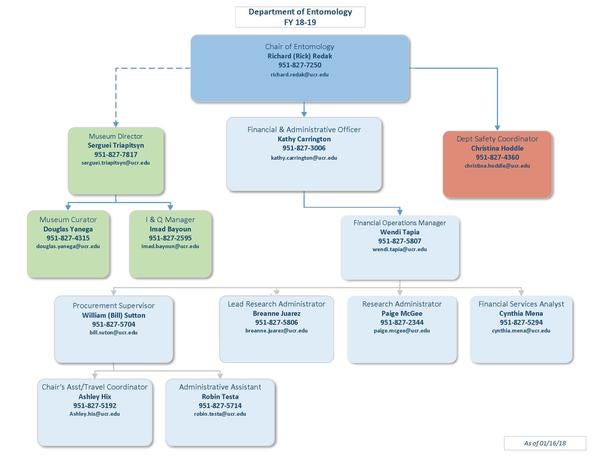 Organizational Chart 