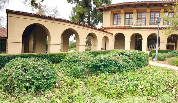 Chapman side view
