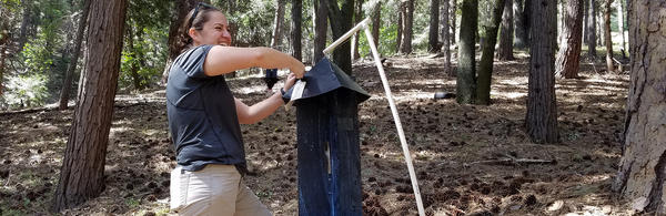 checking insect collector in a forest (c) UCR/CNAS