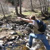 Field Work